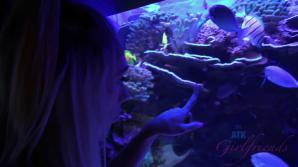 Sky rides you cock in the car!